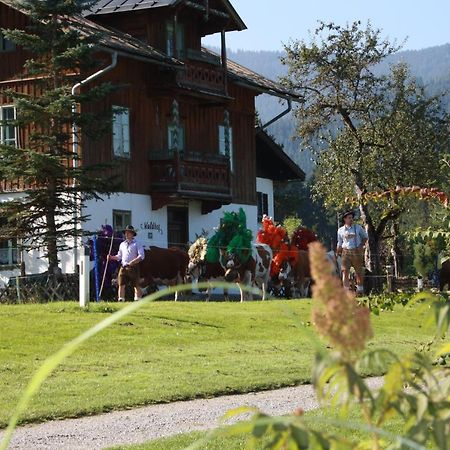 Gaestehaus Hoegerhof Hopfgarten im Brixental Esterno foto